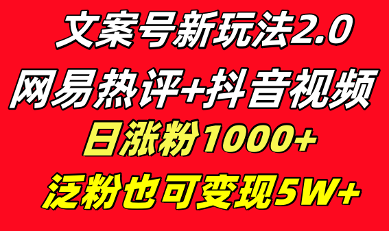 文案号新玩法 网易热评+抖音文案 一天涨粉1000+ 多种变现模式 泛粉也可变现-锦晨科技网