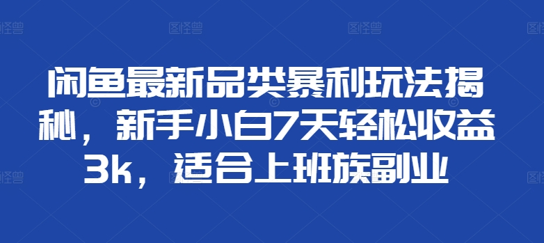 闲鱼最新品类暴利玩法揭秘，新手小白7天轻松赚3000+，适合上班族副业-锦晨科技网