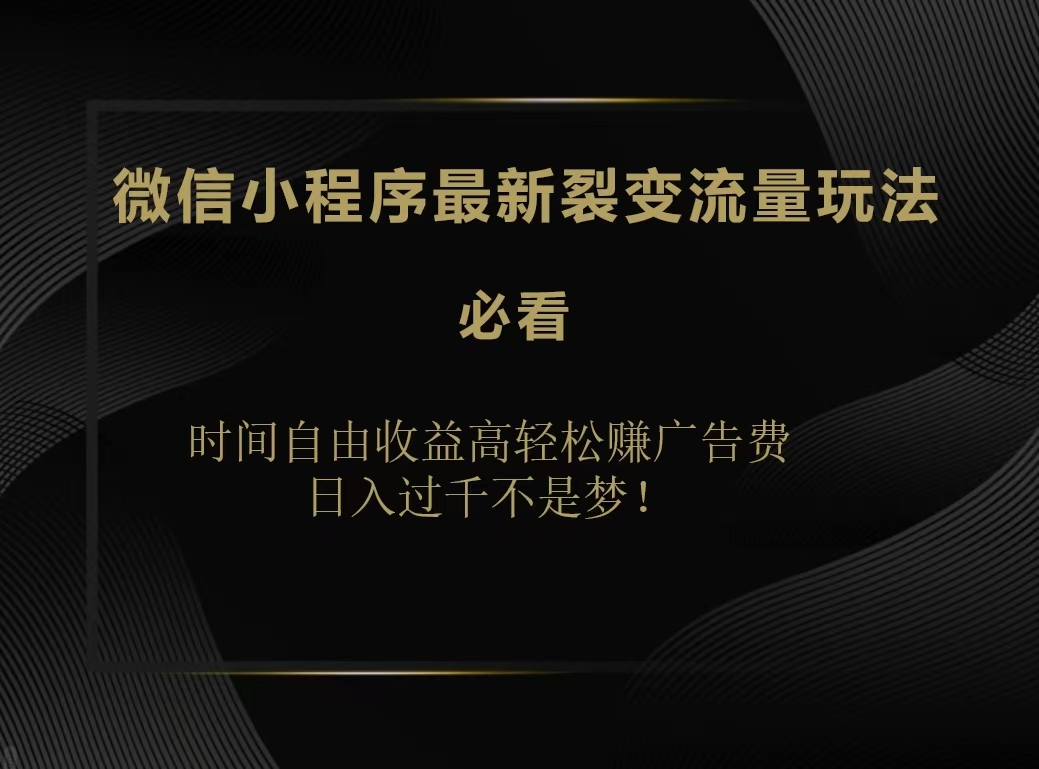 微信小程序最新裂变流量玩法，时间自由收益高轻松赚广告费，日入200-500+-锦晨科技网