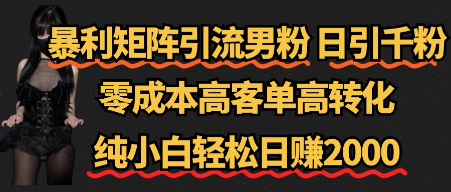 暴利矩阵引流男粉（日引千粉），零成本高客单高转化，纯小白轻松日赚2000+-锦晨科技网