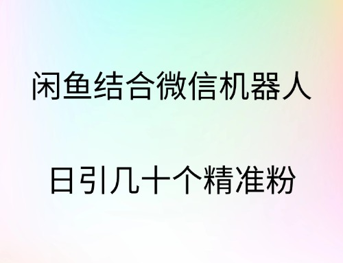 闲鱼结合微信机器人，日引几十个精准粉-锦晨科技网