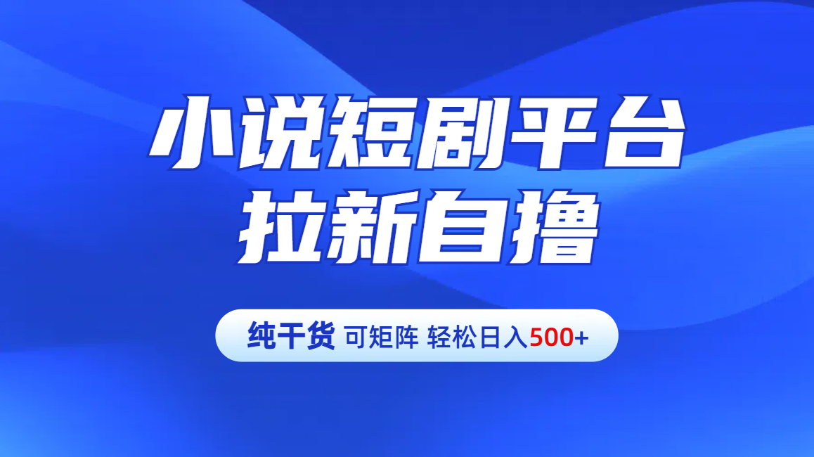 【纯干货】小说短剧平台拉新自撸玩法详解-单人轻松日入500+-锦晨科技网