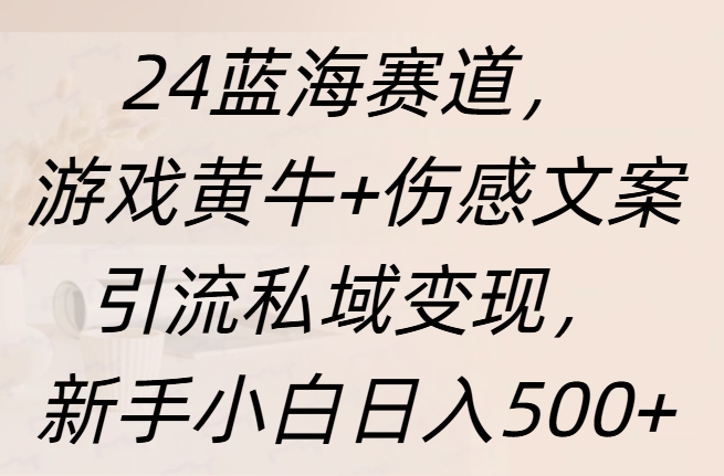 24蓝海赛道，游戏黄牛+伤感文案引流私域变现，新手日入500+-锦晨科技网