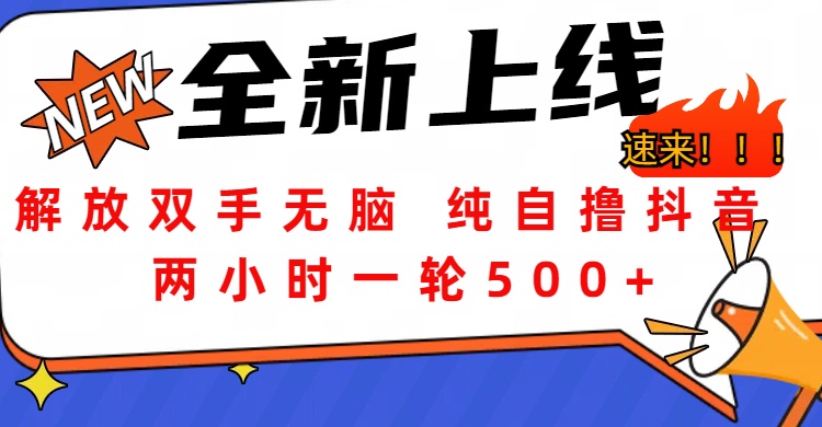 解放双手无脑 纯自撸抖音 两小时一轮500+-锦晨科技网