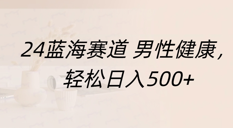 蓝海赛道 男性健康，轻松日入500+-锦晨科技网