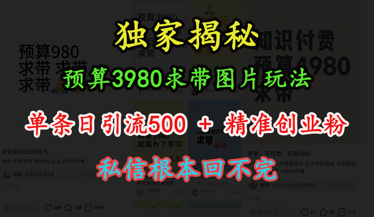 “小红书”预算3980求带 图片玩法，单条日引流500+精准创业粉，私信根本回不完-锦晨科技网