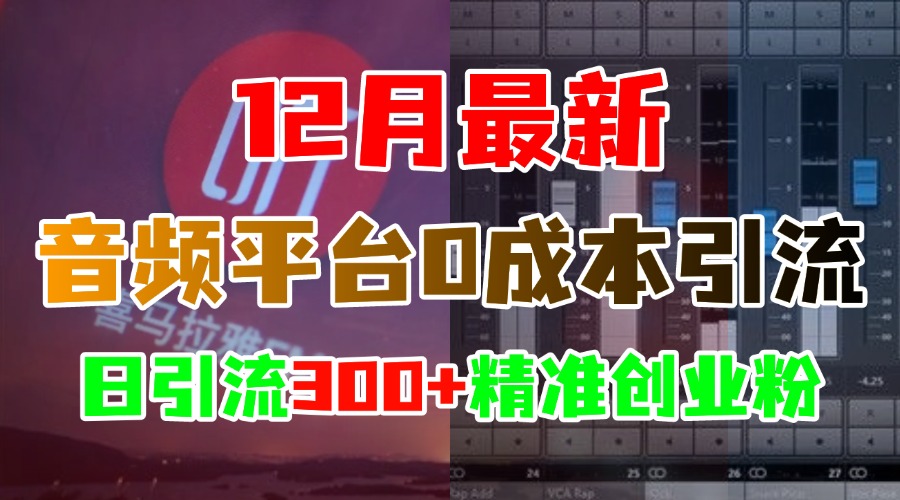 12月最新：音频平台0成本引流，日引300+精准创业粉-锦晨科技网