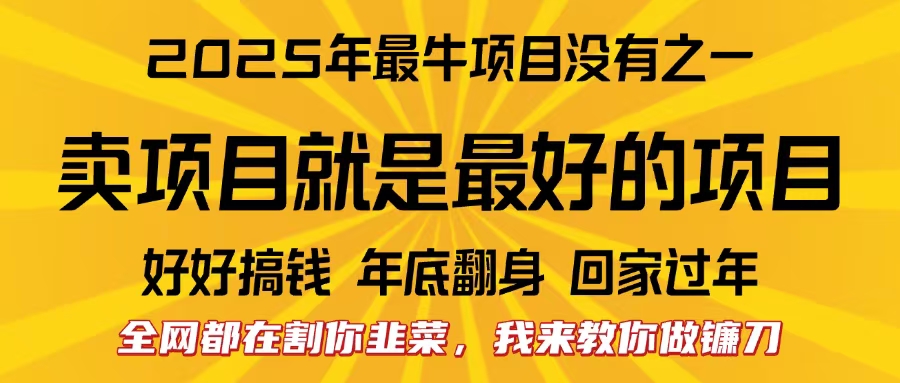 全网都在割你韭菜，我来教你做镰刀。卖项目就是最好的项目，2025年最牛互联网项目-锦晨科技网