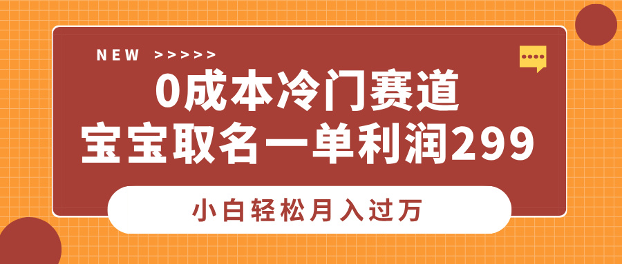 0成本冷门赛道，宝宝取名一单利润299，小白轻松月入过万-锦晨科技网