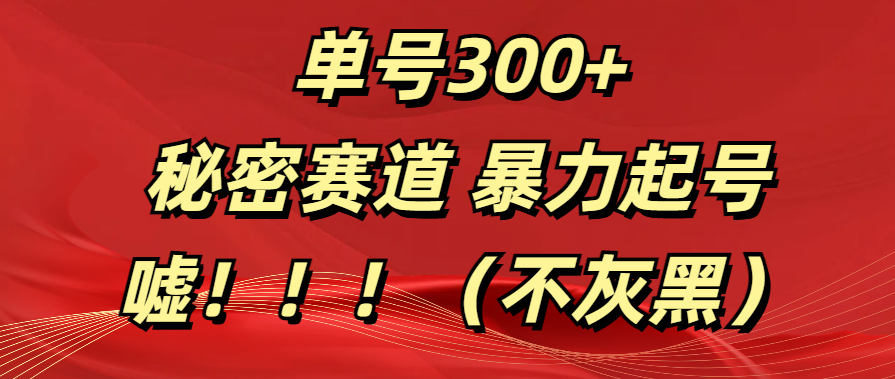 单号300+  秘密赛道 暴力起号  （不灰黑）-锦晨科技网