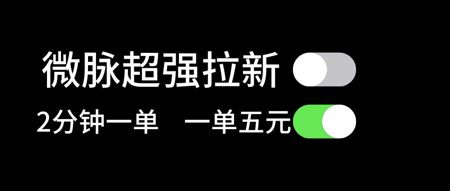 微脉超强拉新， 两分钟1单， 一单利润5块，适合小白-锦晨科技网