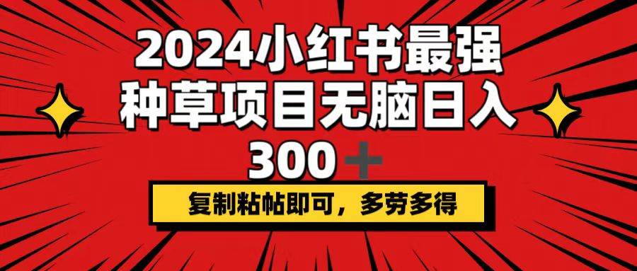 2024小红书最强种草项目，无脑日入300+，复制粘帖即可，多劳多得-锦晨科技网